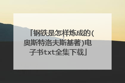 钢铁是怎样炼成的(奥斯特洛夫斯基著)电子书txt全集下载