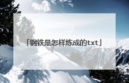 钢铁是怎样炼成的txt