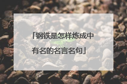 钢铁是怎样炼成中有名的名言名句