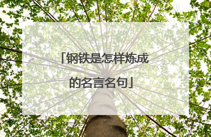 钢铁是怎样炼成 的名言名句