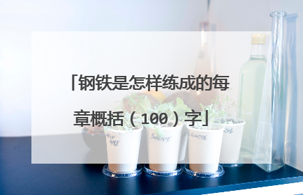 钢铁是怎样练成的每章概括(100)字