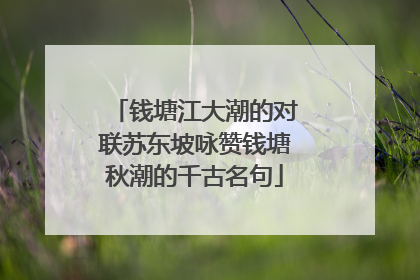 钱塘江大潮的对联苏东坡咏赞钱塘秋潮的千古名句