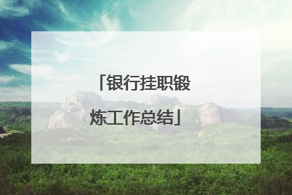 银行挂职锻炼工作总结