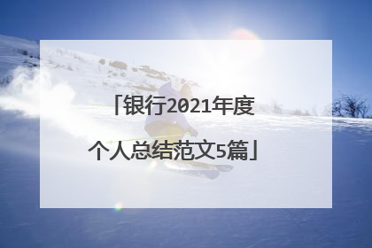 银行2021年度个人总结范文5篇