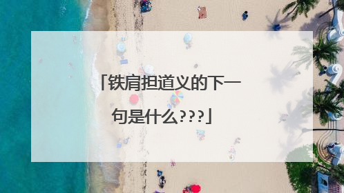 铁肩担道义的下一句是什么???