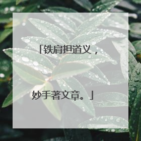 铁肩担道义，妙手著文章。