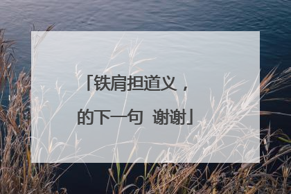 铁肩担道义, 的下一句 谢谢