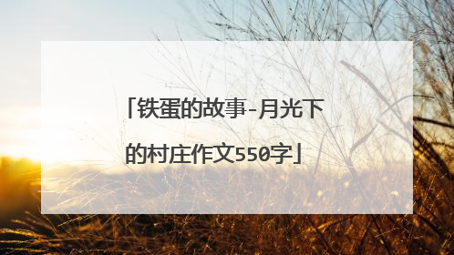 铁蛋的故事-月光下的村庄作文550字
