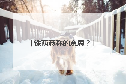 铢两悉称的意思?