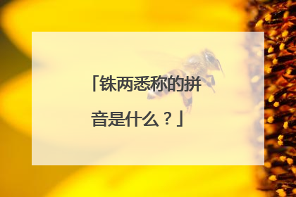 铢两悉称的拼音是什么?