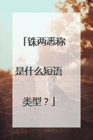 铢两悉称是什么短语类型?