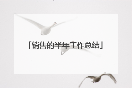 销售的半年工作总结