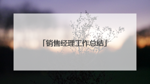 销售经理工作总结