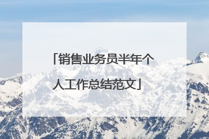 销售业务员半年个人工作总结范文