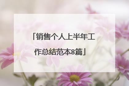 销售个人上半年工作总结范本8篇