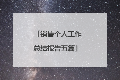 销售个人工作总结报告五篇