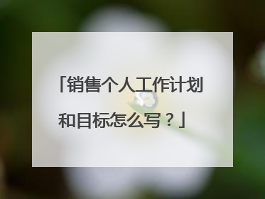 销售个人工作计划和目标怎么写？