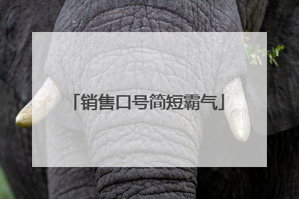 销售口号简短霸气