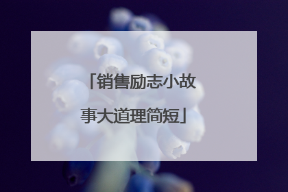 销售励志小故事大道理简短