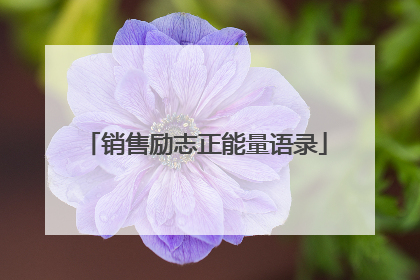 销售励志正能量语录