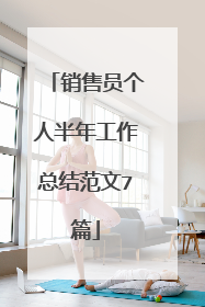 销售员个人半年工作总结范文7篇