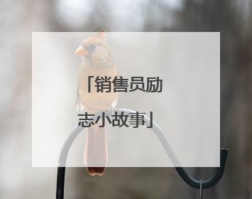 销售员励志小故事