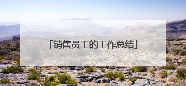 销售员工的工作总结