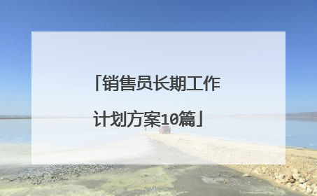 销售员长期工作计划方案10篇