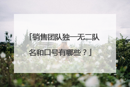 销售团队独一无二队名和口号有哪些?