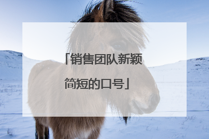 销售团队新颖简短的口号