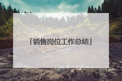 销售岗位工作总结