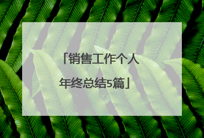 销售工作个人年终总结5篇