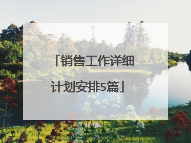 销售工作详细计划安排5篇