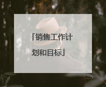 销售工作计划和目标