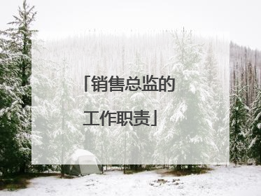 销售总监的工作职责