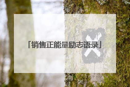 销售正能量励志语录