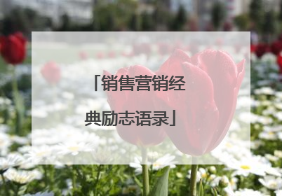 销售营销经典励志语录
