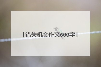 错失机会作文600字