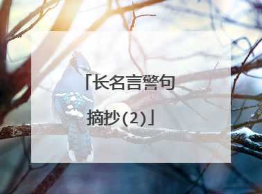 长名言警句摘抄(2)