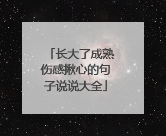 长大了成熟伤感揪心的句子说说大全