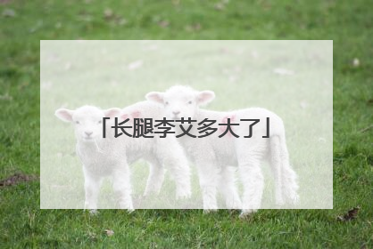 长腿李艾多大了