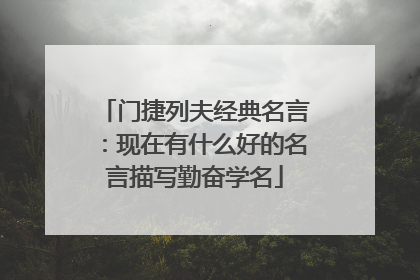 门捷列夫经典名言:现在有什么好的名言描写勤奋学名