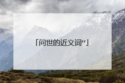 问世的近义词“