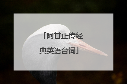 阿甘正传经典英语台词