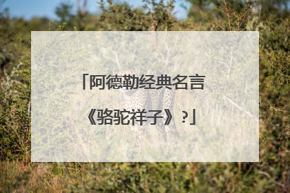 阿德勒经典名言《骆驼祥子》?