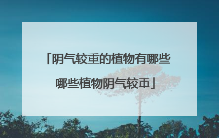 阴气较重的植物有哪些 哪些植物阴气较重