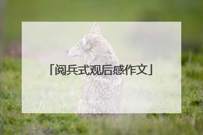 阅兵式观后感作文