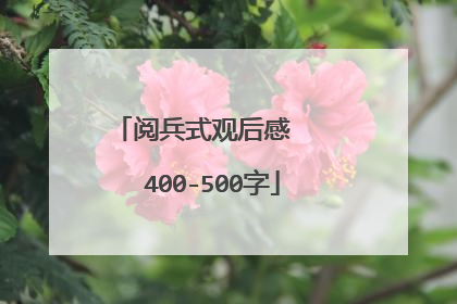 阅兵式观后感 400-500字