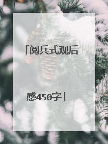 阅兵式观后感450字
