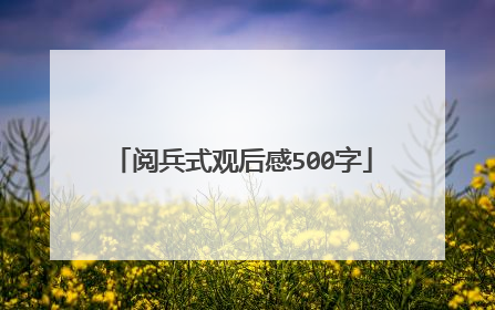 阅兵式观后感500字